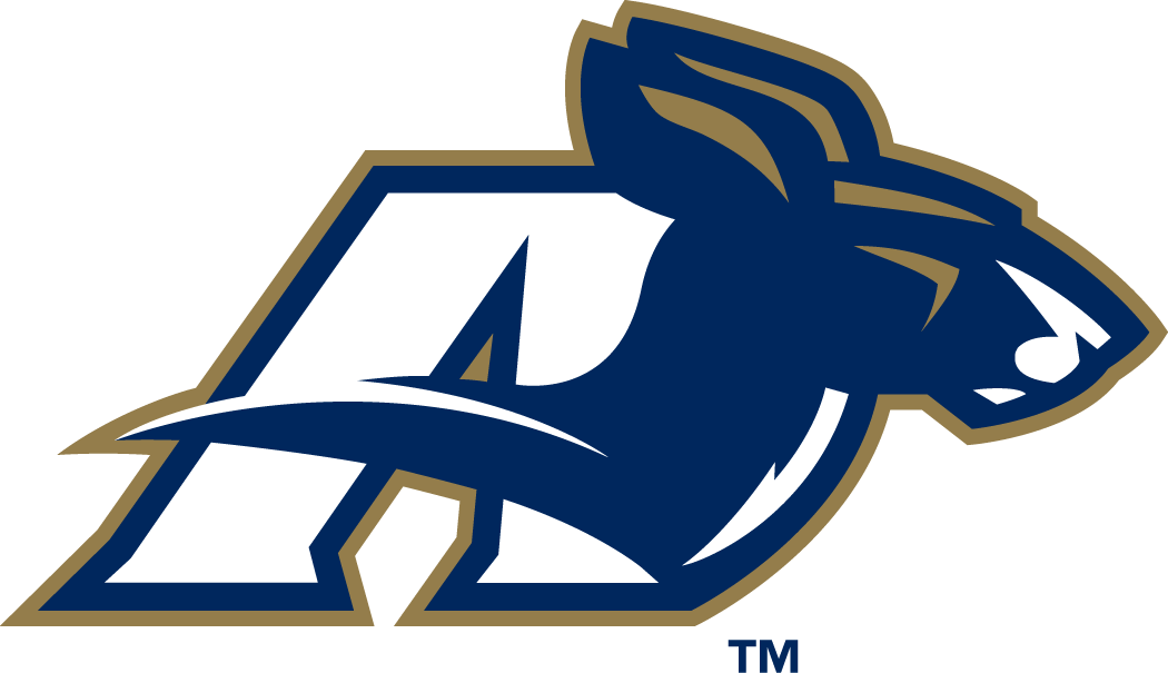 Akron Zips 2002-Pres Alternate Logo v3 diy iron on heat transfer